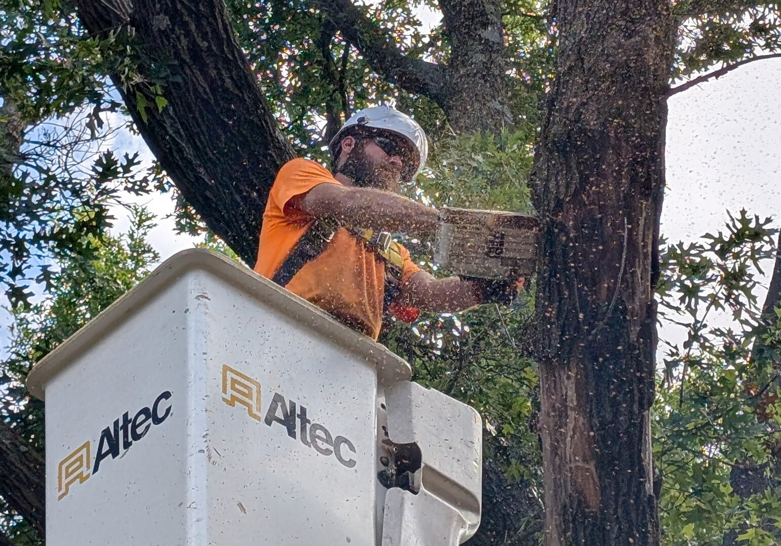 Expert Pruning_New
