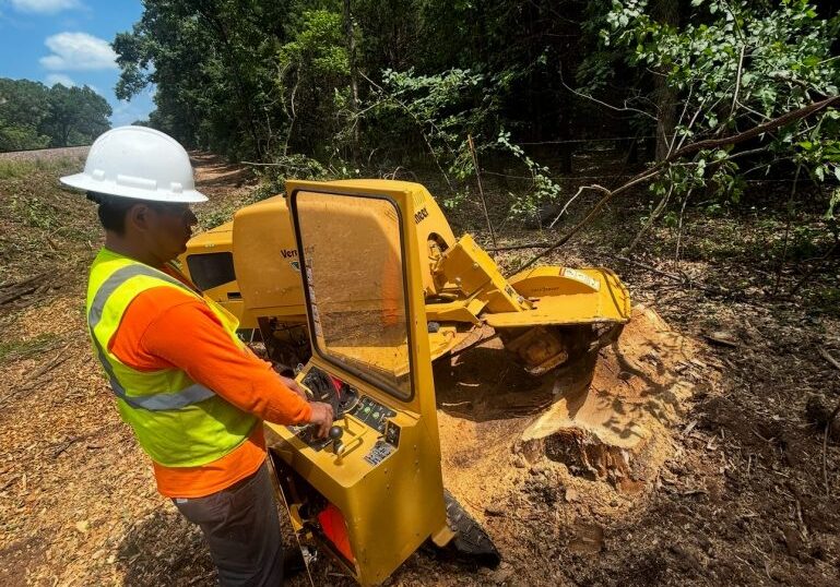 Stump Grinding